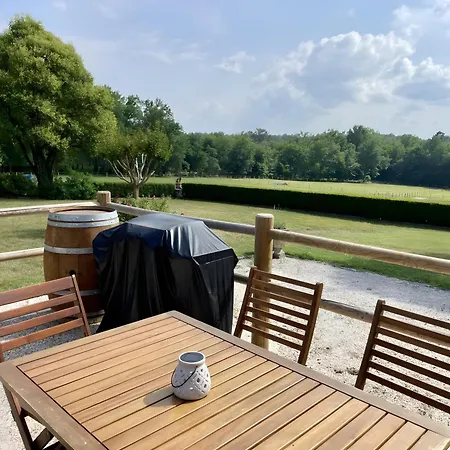Dans Un Domaine Relaxant